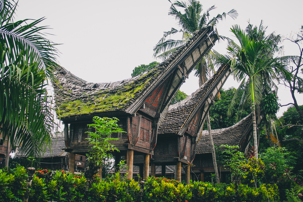 Tongkonans in Sulawesi, Indonesia.