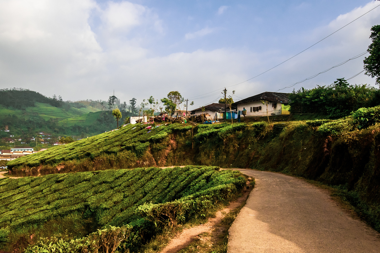 Dirt Road in Mountain Village